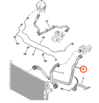 Citroen Jumpy (2019-2025) 1.5 Hdi Radyatör Alt Hortumu (Orijinal)