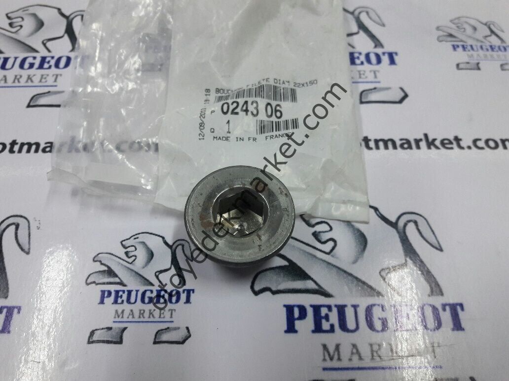PEUGEOT 207 1.4 HDİ MOTOR BLOK TAPASI (ORJİNAL)