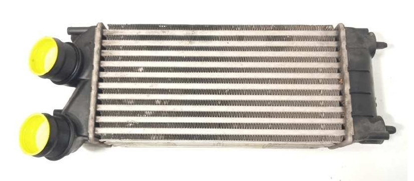 Citroen Berlingo (2009-2018) 1.6 Hdi Turbo İntercooler (Valeo)