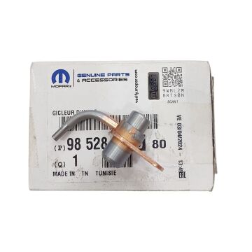 Peugeot Boxer (2015-2023) 2.0 Hdi Motor Pistonu Yağlama Jikle Memesi / Jeti (Orijinal)