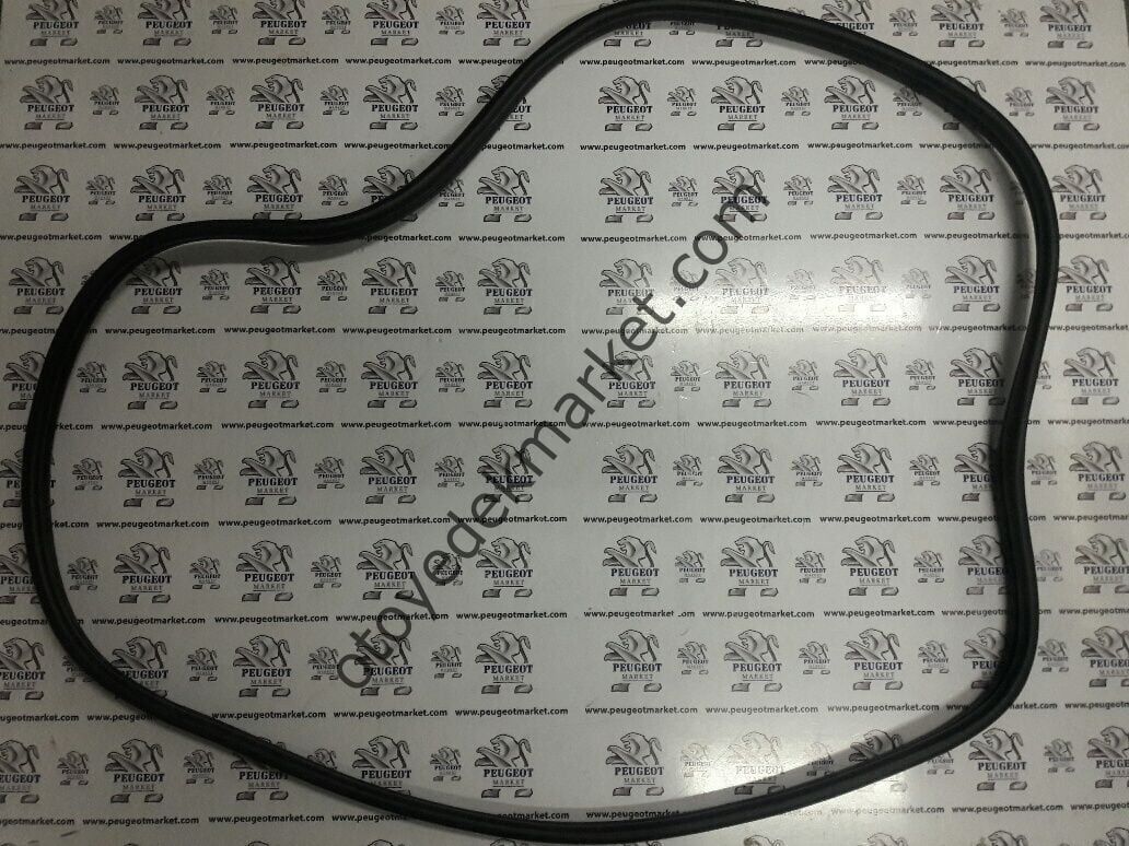 PEUGEOT 307 (2002-2009) ÖN KAPI FİTİLİ (ORJİNAL)