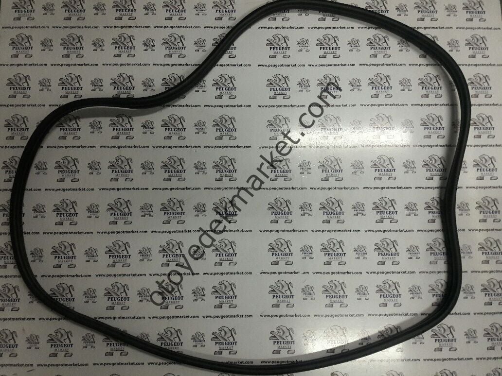 PEUGEOT 307 (2002-2009) ÖN KAPI FİTİLİ (ORJİNAL)