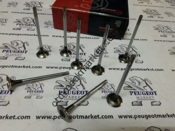 PEUGEOT 206 motor parçaları sildir conta tk conta termostat ve kütüğü triger subap v kayış buji 2 bilya yağ ve flitreler antifiriz 6 sprey