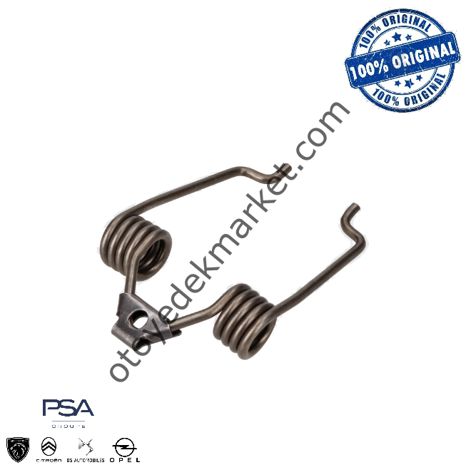 Peugeot Rcz (2010-2015) 1.6 200 Hp Subap Sabitleme Yayı (Orijinal)