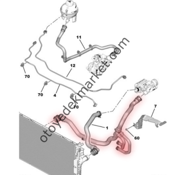 Peugeot 308 (2018-2021) 1.5 BlueHdi Su Radyatör Çıkış Hortumu (Orijinal)