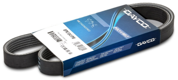 Citroen C4 (2021-2025) 1.2 Benzinli Alternatör Kayışı (Dayco)