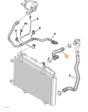 Citroen C-Elysee (2012-2020) 1.2 Benzinli Radyatör Üst Hortumu (Orijinal)