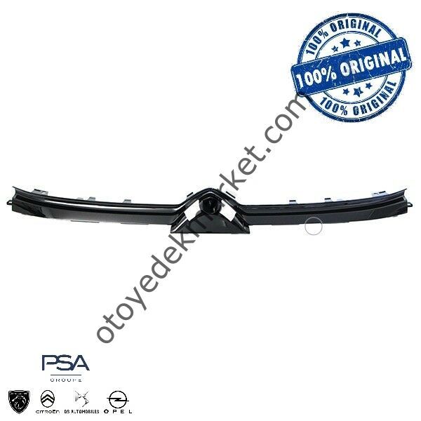 Citroen C3 Aircross (2022-2024) Ön Tampon Izgara Çıtası (Orijinal)