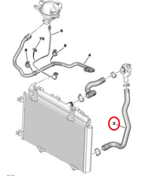 Citroen C-Elysee (2012-2020) 1.2 Benzinli Radyatör Alt Hortumu (İthal)