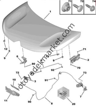 Citroen C5 Aircross (2019-2025) Motor Kaputu (Orijinal)