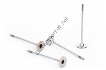 Citroen C4 (2001-2009) 1,6 Benzinli Subap Takımı (Güneş)
