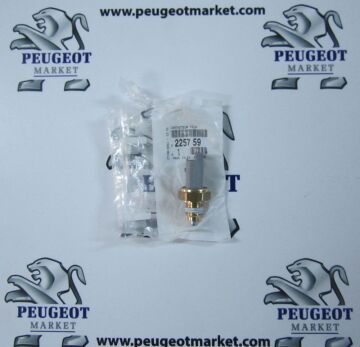 PEUGEOT 3008 GERİ VİTES MÜŞÜRÜ (ORJİNAL)