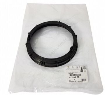 Citroen C4 ( 2011-2018) Yakıt Depo Şamandıra Somunu (Orijinal)