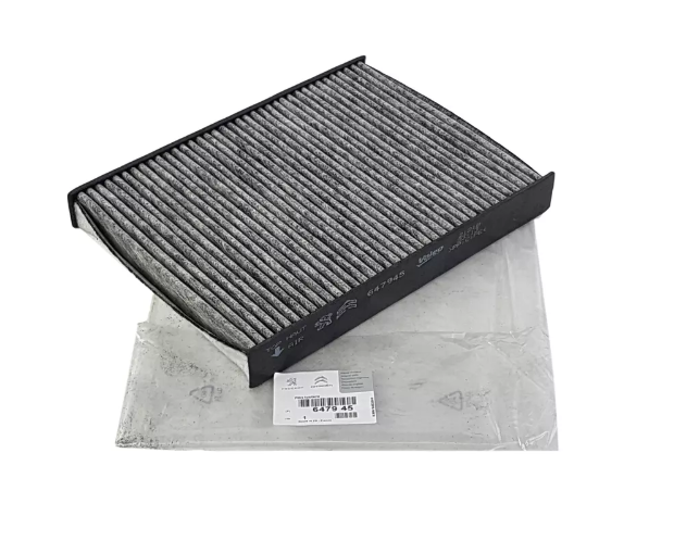 Peugeot 407 (2004-2011) Polen Filtresi (Orijinal)