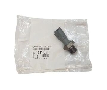 Peugeot 308 (2008-2014) Yağ Müşürü (Orijinal)