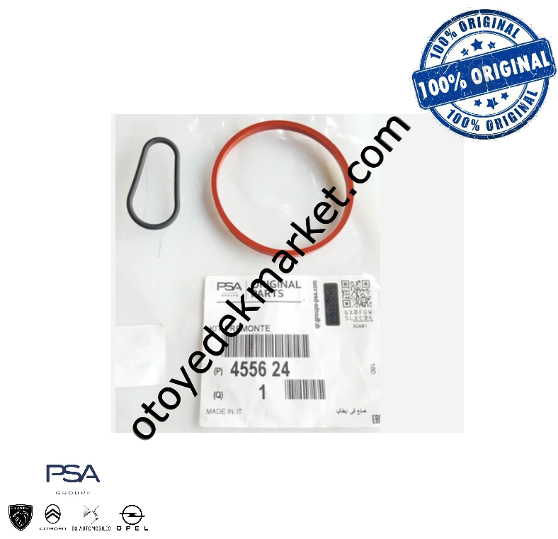 Citroen C4 X (2021-2025) Vakum Pompa Contaları (Orijinal)