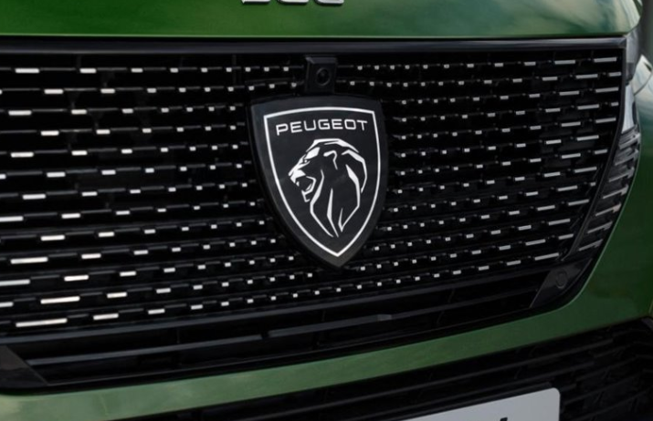 Peugeot 308 (2022-2024) Ön Tampon Amblemi (Orijinal)