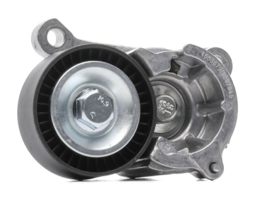 PEUGEOT 206 GTI ALTERNATÖR GERGİ KÜTÜĞÜ (SWAG)