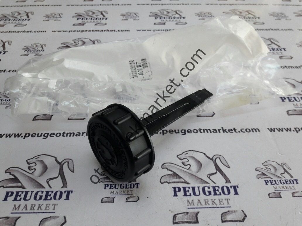 PEUGEOT 307 DİREKSİYON POMPA KAPAĞI