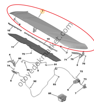 Peugeot Rifter (2024-2025) Motor Kaputu (Orijinal)