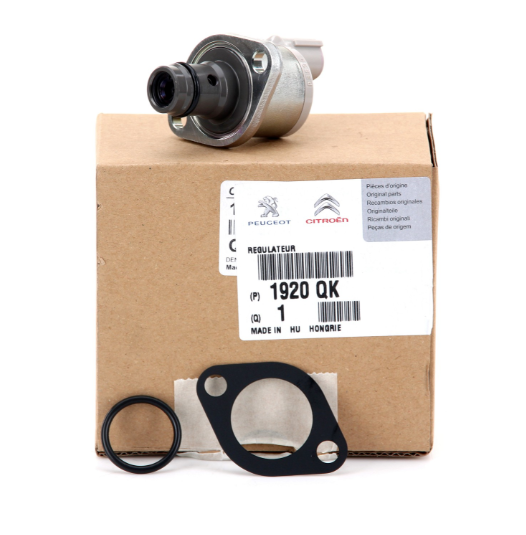 Citroen Jumper 2.2 Hdi (2006-2020) Mazot Pompa Müşürü (Orijinal)