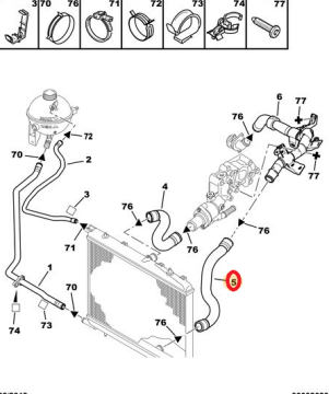 Peugeot 307 (2001-2008) 1.6 Benzinli Radyatör Alt Hortumu (İthal)