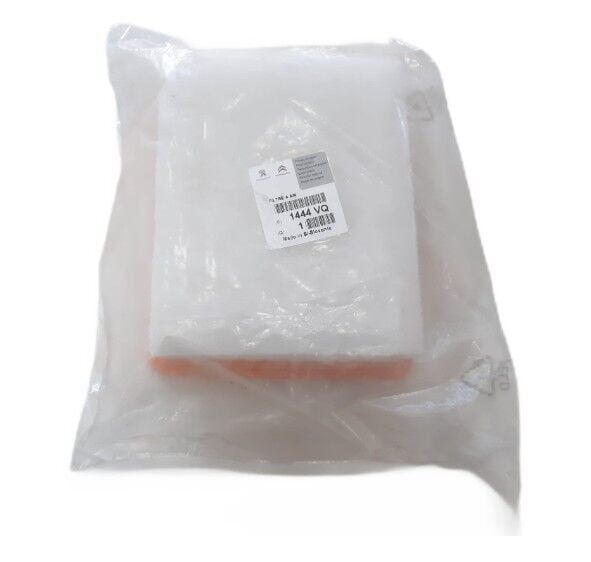 PEUGEOT 206 (1999-2005) BENZİNLİ HAVA FİLTRESİ (ORJİNAL)