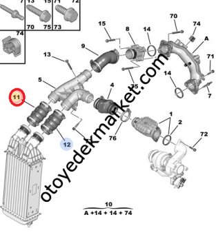 Citroen C3 ve DS3 (2010-2016) Turbo Radyatör Hortumu (Rapro)