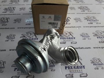 PEUGEOT 206 1,4 HDI (2003-2005) EGR VANASI (ORJİNAL)