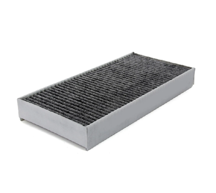 Citroen C5 II (2005-2009) Polen Filtresi (İthal)