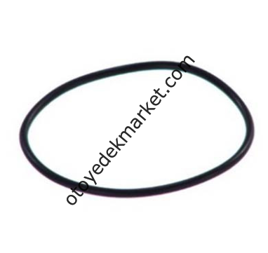 Citroen Berlingo (2003-2008) 1.9 Vakum Pompa Oringi (Orijinal)