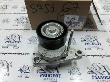 PEUGEOT 307 1,6 BENZİNLİ ALTERNATÖR RULMANI (ORİJİNAL)