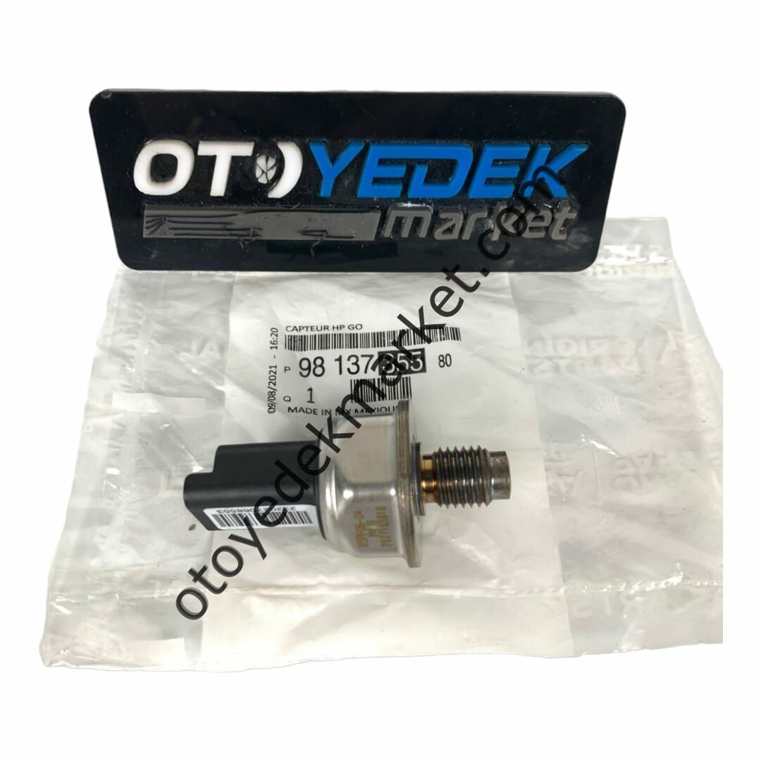 Peugeot 207 (2003-2012) 1.4 Hdi Enjektör Rampa/Rail Müşiri (Orijinal)