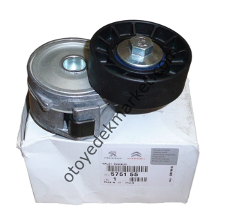 Peugeot Partner (2003-2008) 2,0 Hdı Alternatör Gergi Kütüğü (Orijinal)