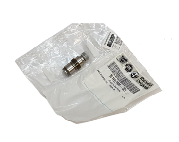 Citroen Cactus (2018-2020) 1.5 BlueHdi Subap İteceği (Orijinal)