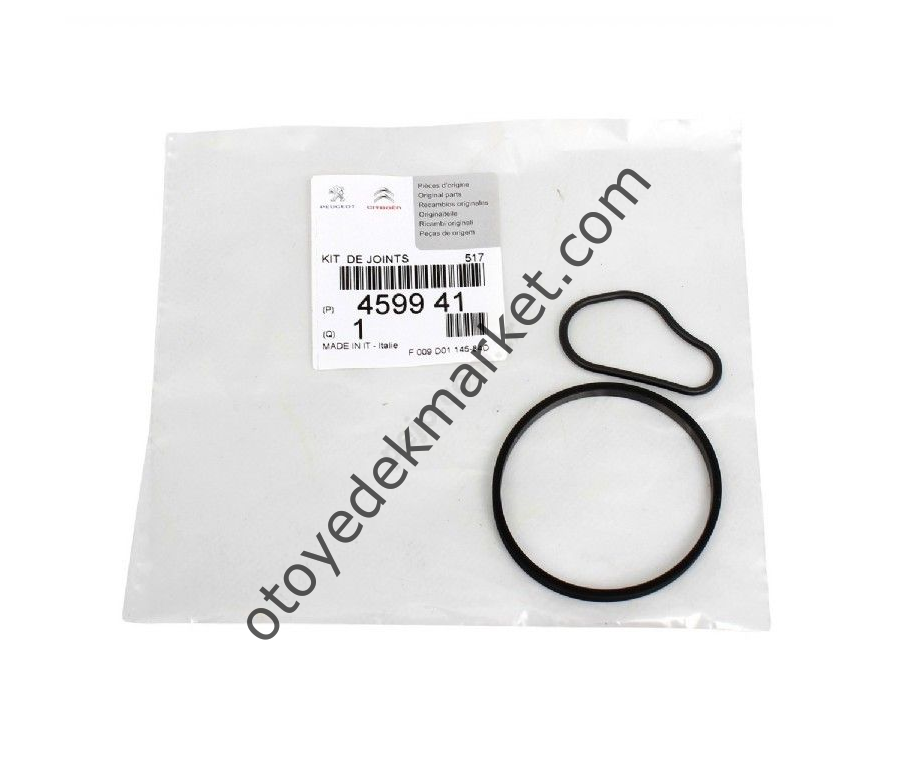 Peugeot 3008 (2008-2011) 1.6 Hdi Vakum Pompası Conta Takımı (Orijinal)