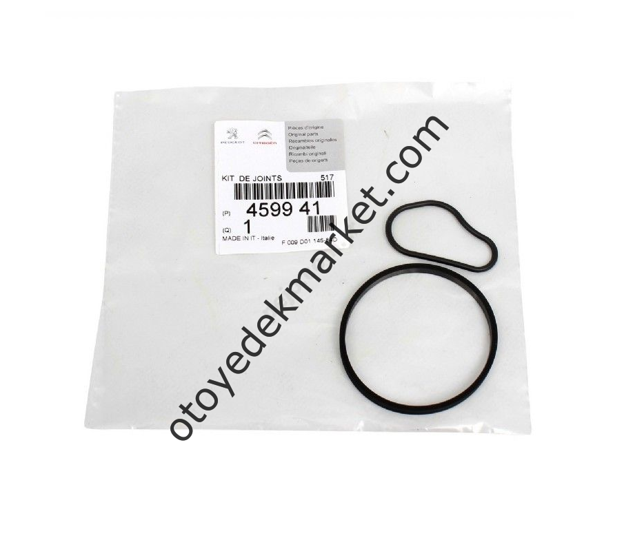 Peugeot 307 (2002-2008) 1.6 Hdi Vakum Pompası Conta Takımı (Orijinal)