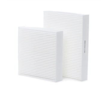 Citroen C3 (2017-2024) Polen Filtresi (İthal)