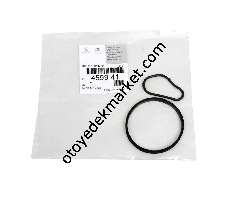 Citroen C5 (2005-2011) 1.6 Hdi Vakum Pompası Conta Takımı (Orijinal)