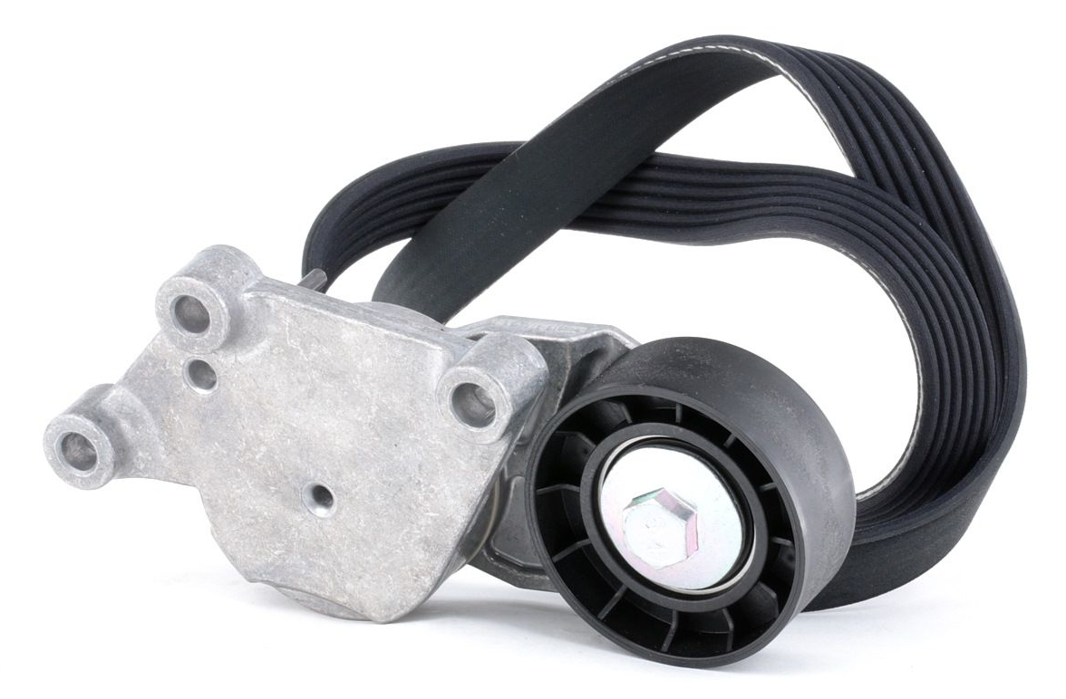 PEUGEOT 307 (2003-2006) 1,4 HDI  ALTERNATÖR RULMAN SETİ (DAYCO)