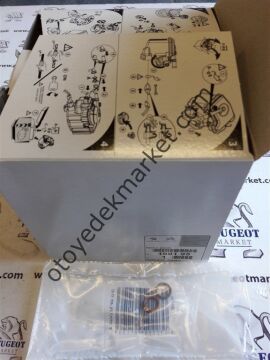 PEUGEOT 307 (2003-2009) 1.6 HDI FİLTRE SETİ KARBON POLEN +5W30 YAĞ (ORJİNAL)