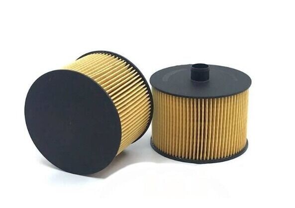 Citroen C5 (2006-2013) 2,0 Hdi Mazot Filtresi (İthal)