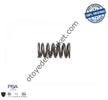 Peugeot 3008 (2018-2023) 1.5 BlueHdi Sübap Yayı (Orijinal)