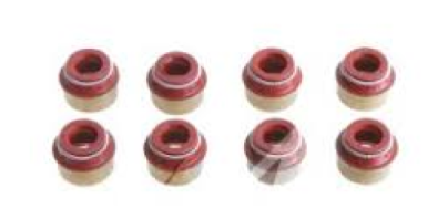 CİTROEN SAXO 1.4-1.5 SUBAP LASTİK TAKIMI (İTHAL)