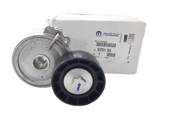 Citroen Berlingo (1998-2000) 1.9 Alternatör Gergi Rulmanı (Orijinal)