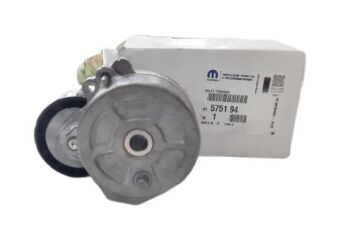 Citroen Berlingo (1998-2000) 1.9 Alternatör Gergi Rulmanı (Orijinal)