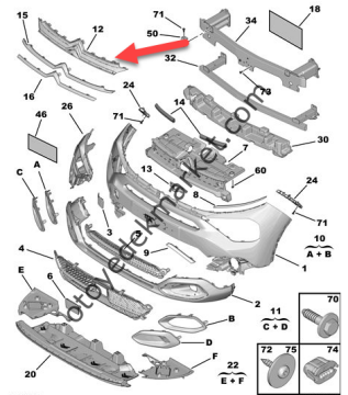 Citroen C4 X (2021-2024) Ön Panjur Logo Mesnedi (Orijinal)