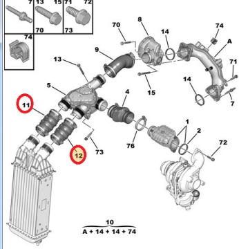 Citroen C4 (2011-2014) 1.6 Dizel Turbo Radyatör Hortumu (İthal)