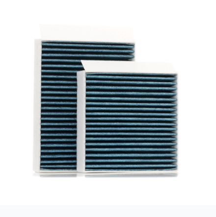 Peugeot 208 (2012-2019) Polen (Kabin Klima) Filtresi, Karbonlu (ithal)