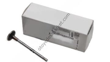 Citroen Cactus (2018-2020) 1.5 BlueHdi Emme Subapı (Orijinal)